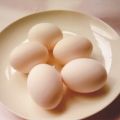 安心安全健康な卵/うみたて直売店 たまご園