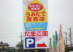 安心安全健康な卵/うみたて直売店 たまご園