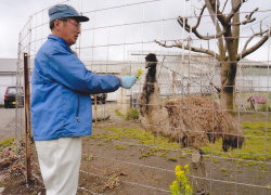 安心安全健康な卵/うみたて直売店 たまご園