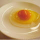 会社案内/安心安全健康な卵/うみたて直売店 たまご園