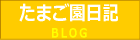 安心安全健康な卵/うみたて直売店 たまご園