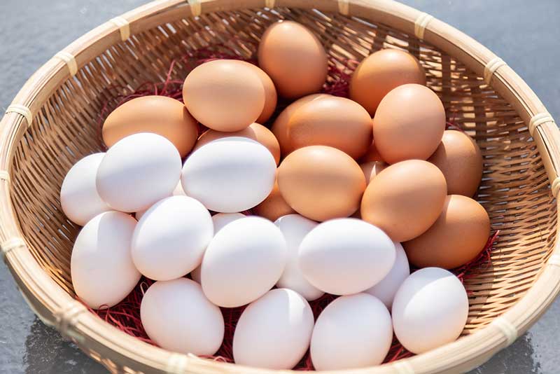平飼いたまごを販売