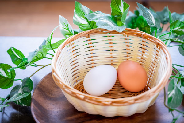 生たまご（白、赤）