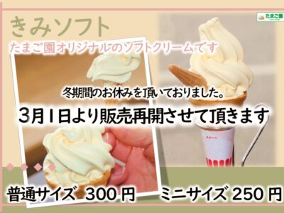 きみソフト販売開始いたします！
