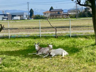 いいお天気！！