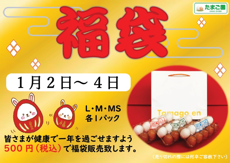 23 福袋 うみたてたまご たまご園田村農園