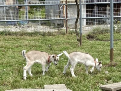 元気にしているよ