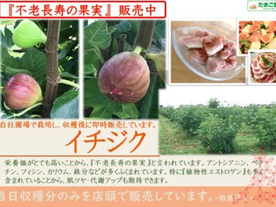 ☆農園の果実たち☆