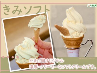 3月1日より販売再開