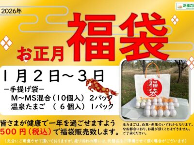 新年のご挨拶にいかがですか